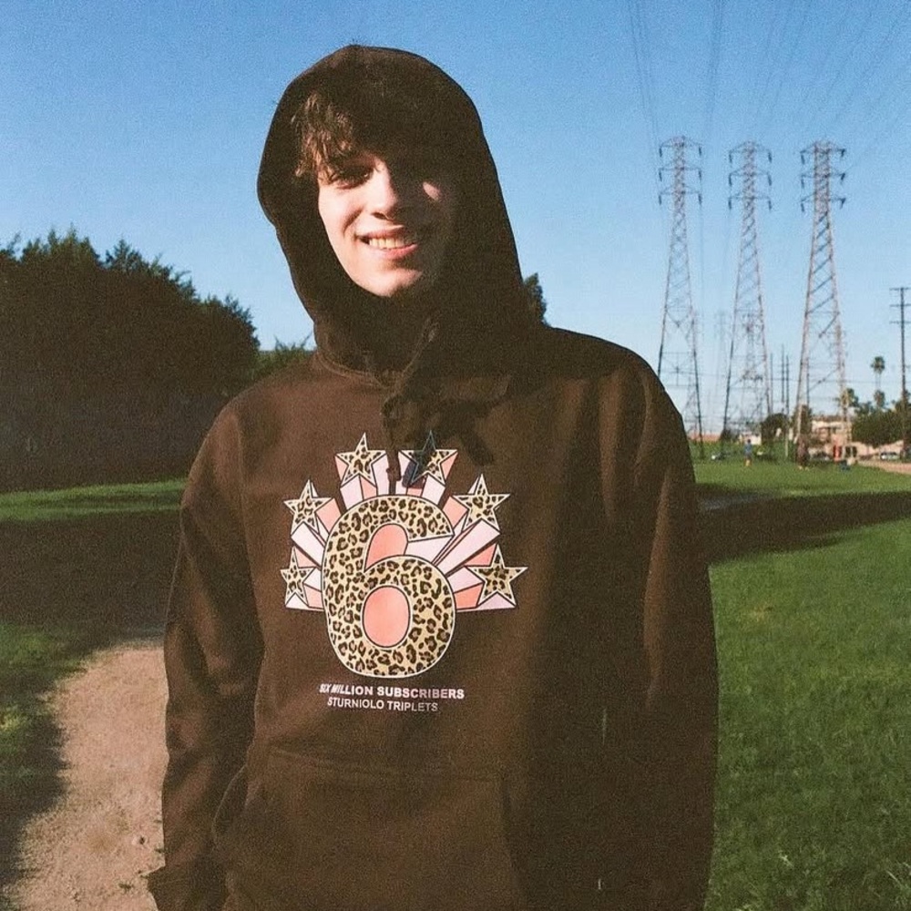 Sturniolo triplets hoodie